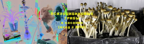 герыч Ладушкин