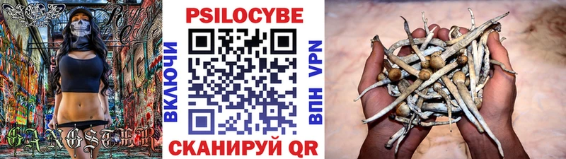 Галлюциногенные грибы прущие грибы  Купить  Ухта 